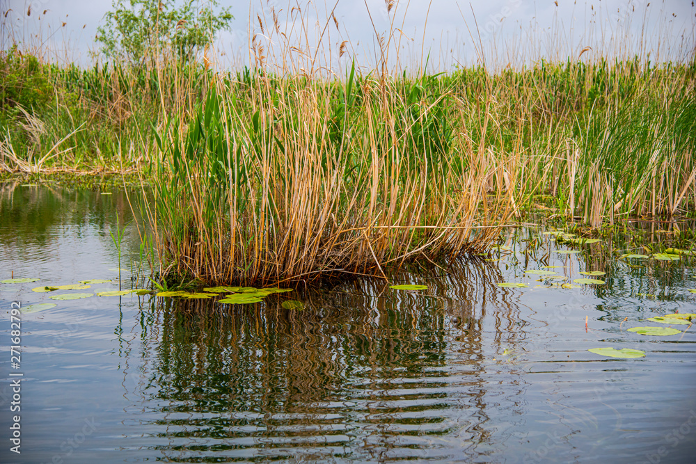 Obraz premium Danube Delta Landscape