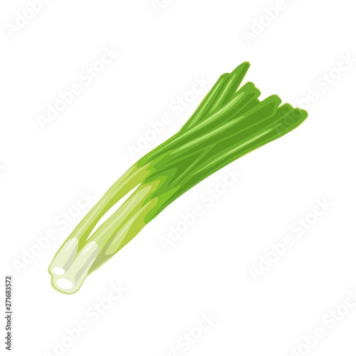 Bunch of fresh stalks onion. Vector color vintage engraving