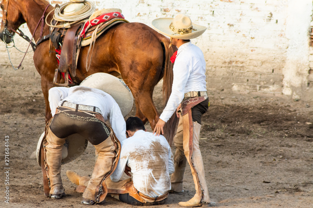 Obraz premium CHARROS