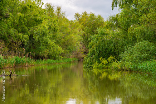 Delta Danube view