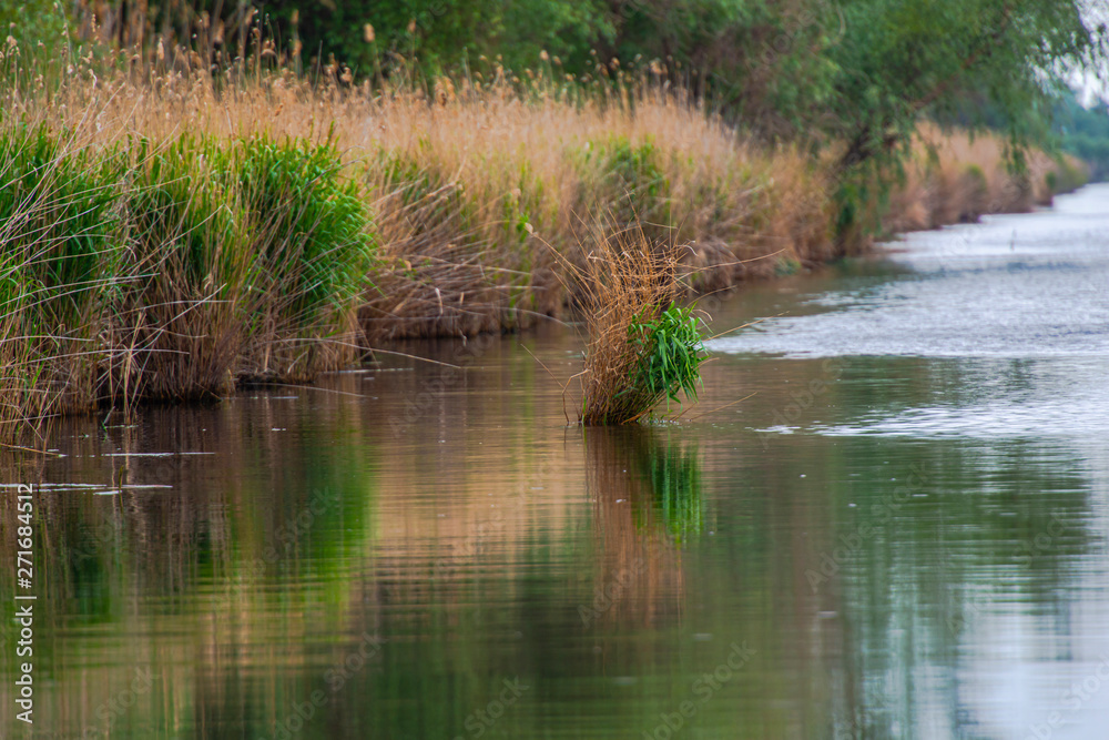 Danube Delta landscape ion the springtimer Danube Delta landscape ion the springtimer