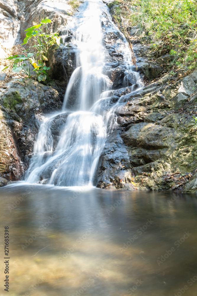 Fototapeta premium la sidra
