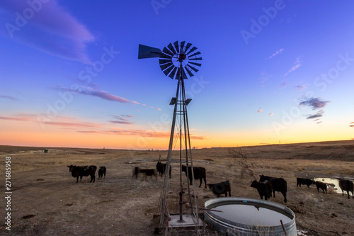 Ellis County, KS USA Traditional Wind Mill on a Midwestern Cattle Farm at Sunset photo