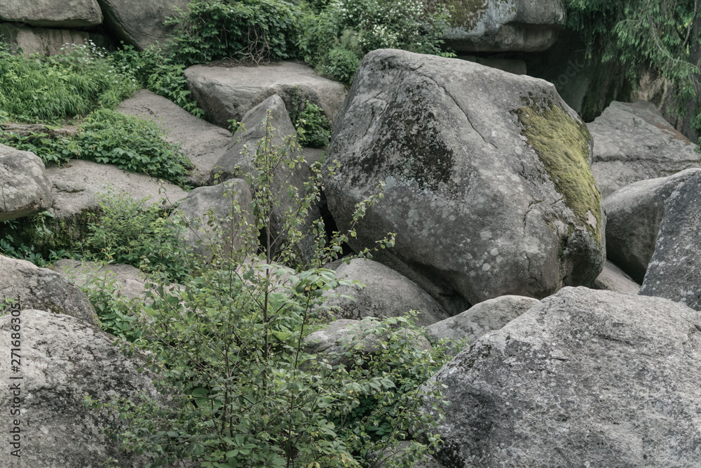 Large boulders, stone overgrown in the forest.
