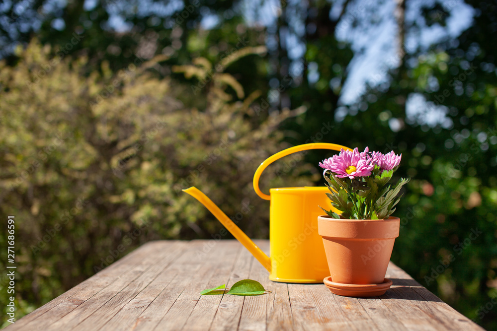 Close up of Gardening tools on the wooden table. Village view. Landscape. Still life. Flower in a pot and watering can... Close up of Gardening tools on the wooden table. Village view. Landscape. Still life. Flower in a pot and watering can...