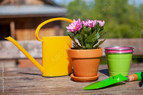 Close up of Gardening tools on the wooden table. Village view. Landscape. Still life. Flower in a pot and watering can...