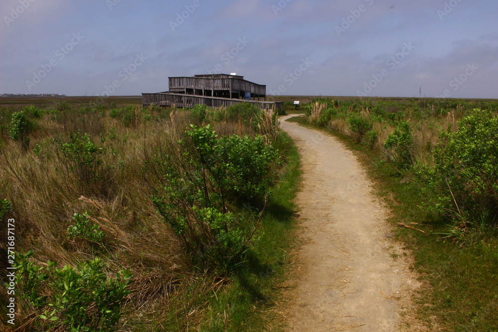 Fototapeta premium road to castle