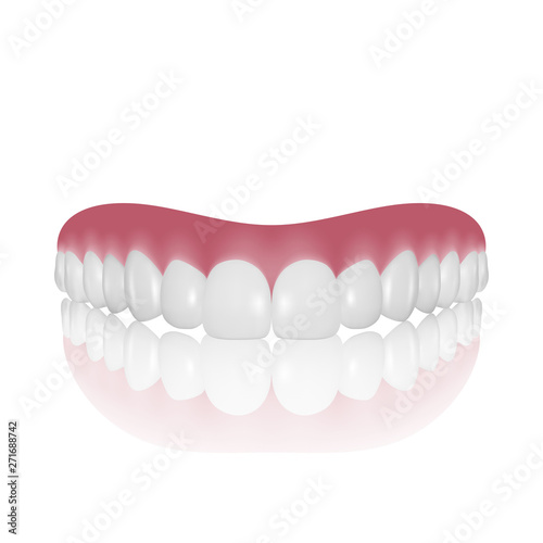 Vector 3d Realistic Render Denture Closeup Isolated on White Background. Dentistry and Orthodontics Design. Human Teeth for Medical and Toothpaste Concept. Healthy Oral Hygiene, Jaw Prosthesis