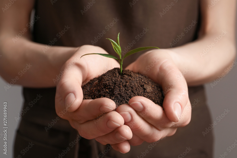 Woman holding pile of soil and seedling, closeup