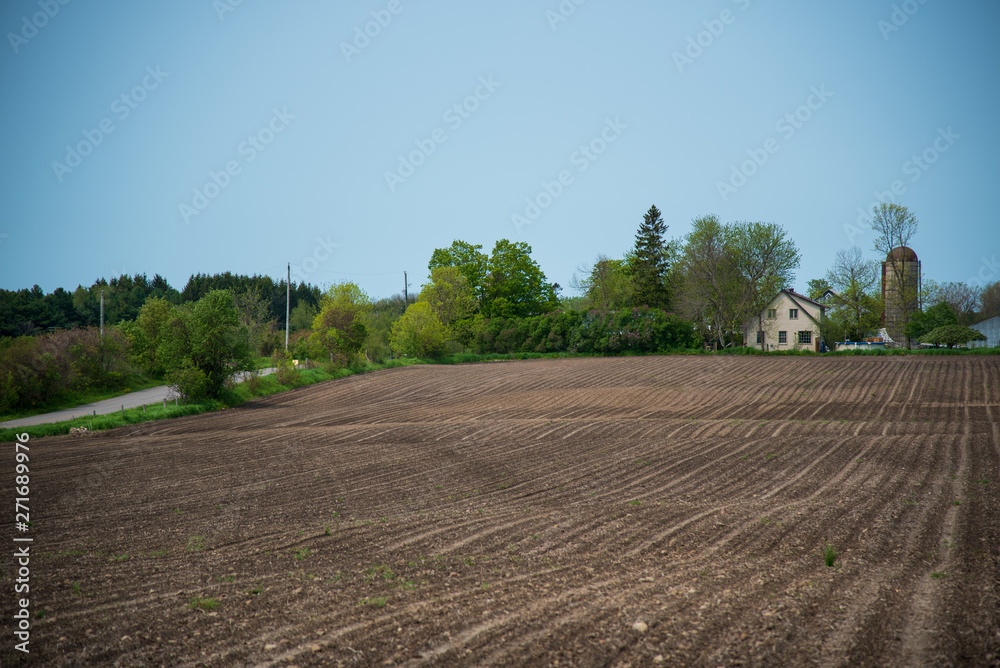 Field and farmhouse