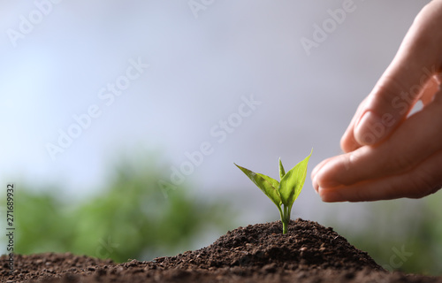 Woman protecting young seedling in soil on blurred background, closeup with space for text