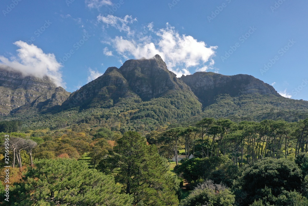 Table mountain during day in Cape Town