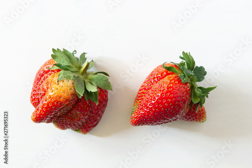 Ugly organic home grown strawberries on white wood background. Strange funny imperfect fruits and vegetables, misshapen produce, food waste concept. Top view, copy space.