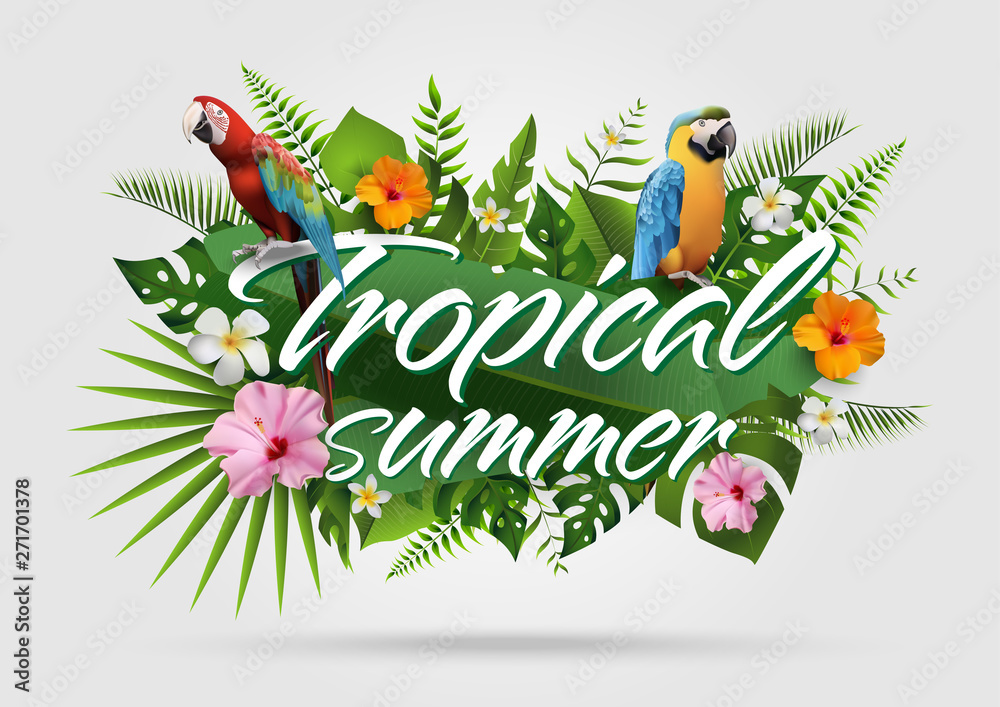 Trendy Summer Tropical Design25