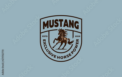 Horse image.