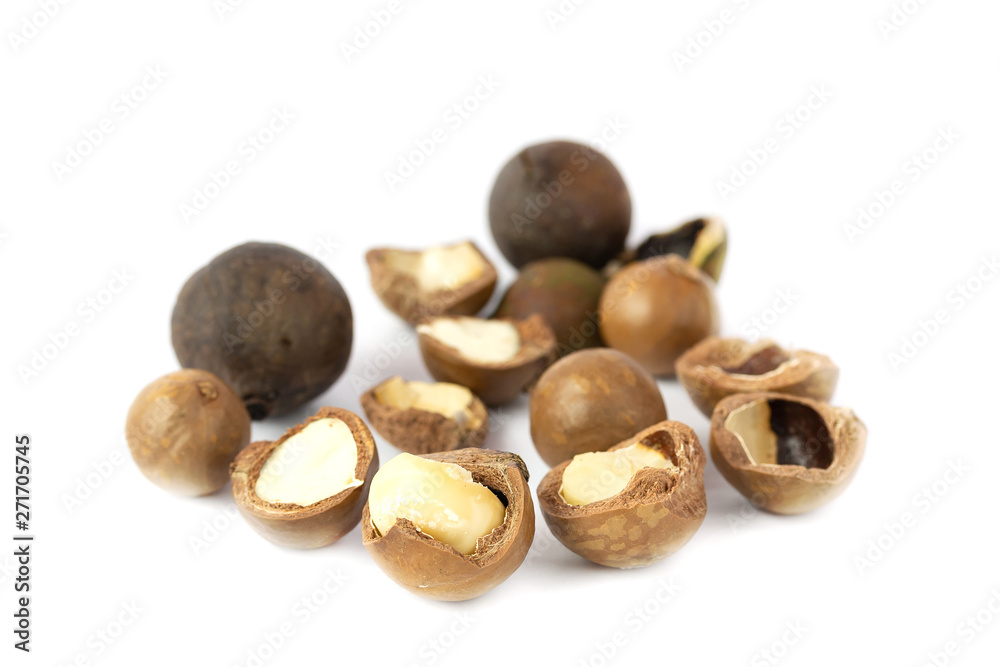 Macadamia fruit isolated on the white background Macadamia fruit isolated on the white background