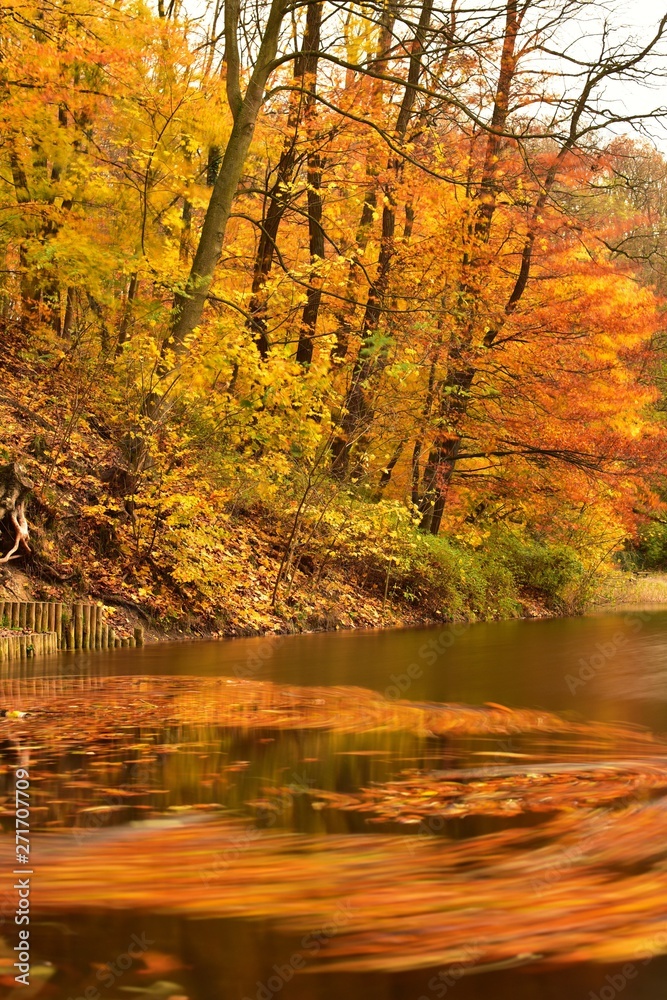 Lake in autumn