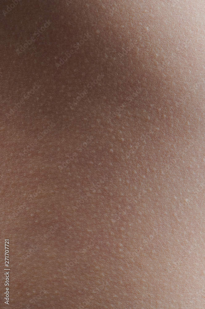 Clean empty brown human skin Clean empty brown human skin