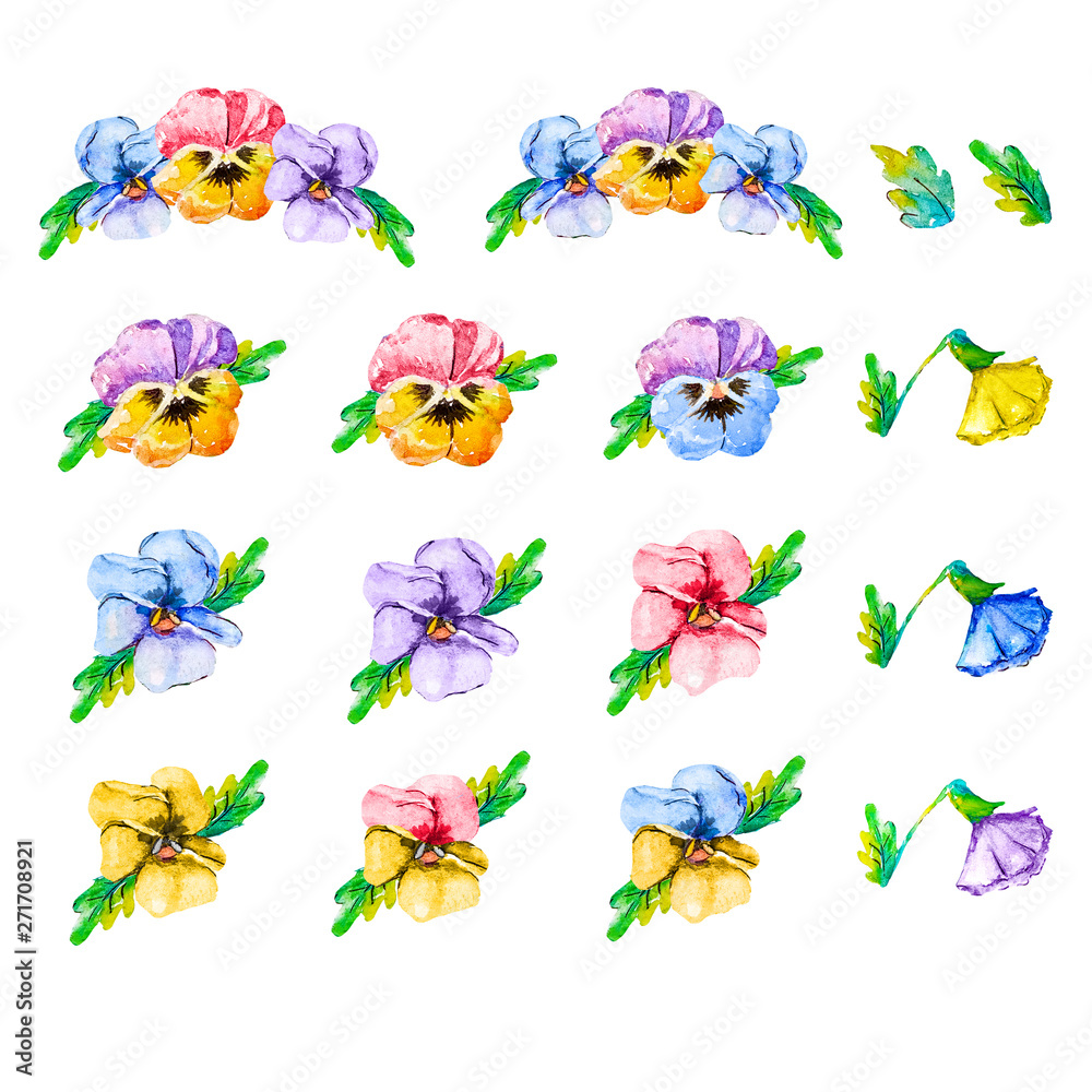 Fototapeta premium Watercolor set of pansies, spring garden viola tricolor collection isolated on white background. Floral design. Hand drawn floral illustration,colorful image of flowers and leaves.