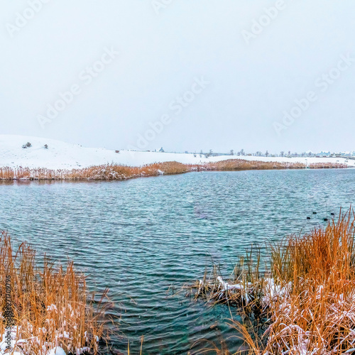 Square Panorama of a rippling lake with lush grasses on the snow covered shore