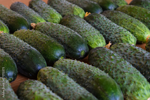 Fresh green cucumbers. Vegetarian food. Cucumber contains vitamins B, A.