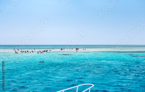 Fototapeta Naklejka Na Ścianę i Meble -  Ras Mohammed swimming red sea White Island Egypt.