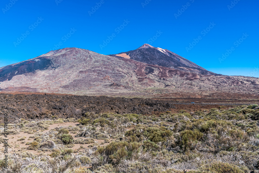 Sparse vegetation around Teide volcano