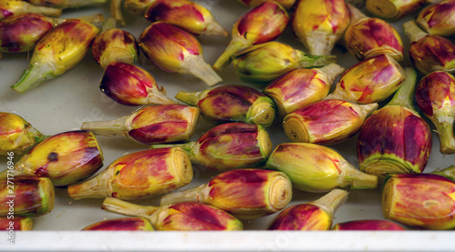 Artichoke heart bottoms in water at an Italian farmers market photo