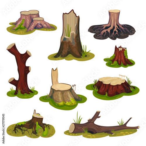 Set stumps and snags. Vector illustration on white background.