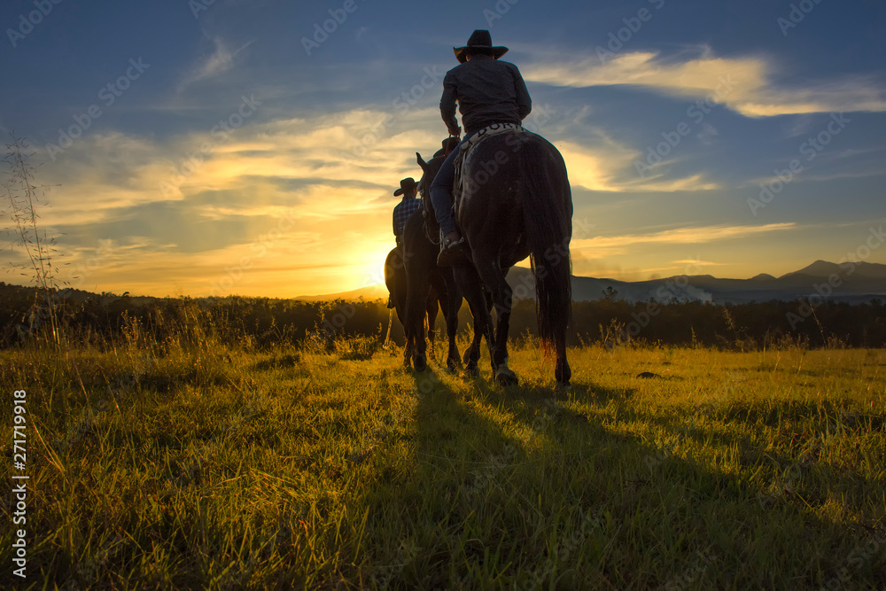 silhouette of horse in sunset silhouette of horse in sunset