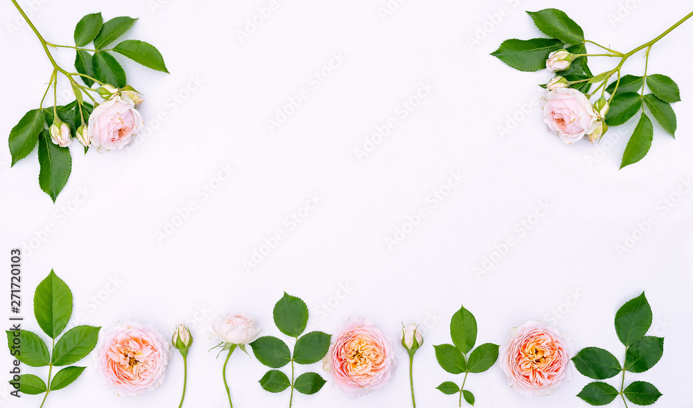 Floral arrangement, web banner with pink English roses, ranunculus,  carnation flowers and green leaves on white table background. Flat lay, top  view. Wedding or birthday styled stock photography. Stock-Foto | Adobe Stock