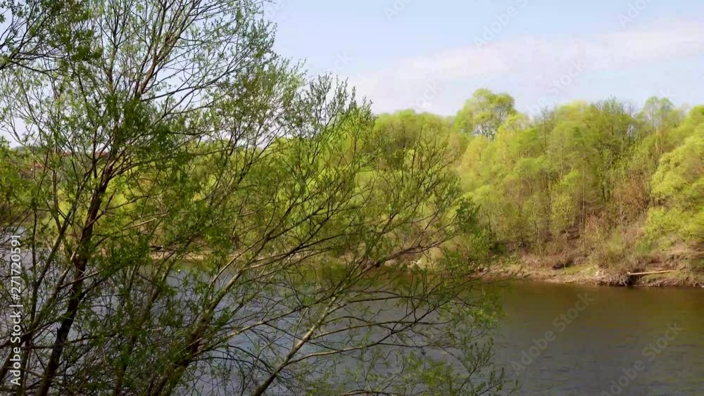 Beautiful view of the river through the trees, reflection of clouds on the water Beautiful view of the river through the trees, reflection of clouds on the water