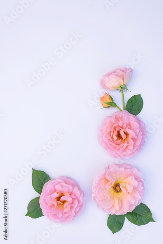 Floral arrangement  web banner with pink English roses  ranunculus  carnation flowers and green leaves on white table background. Flat lay  top view. Wedding or birthday styled stock photography.