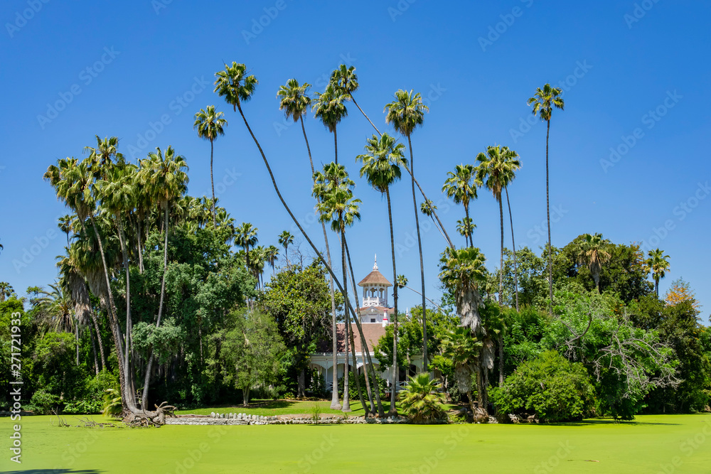Obraz premium Eutrophication pond and a historical building