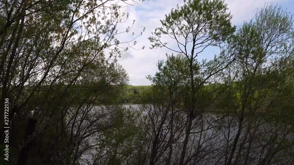 Beautiful view of the river through the trees, reflection of clouds on the water Beautiful view of the river through the trees, reflection of clouds on the water