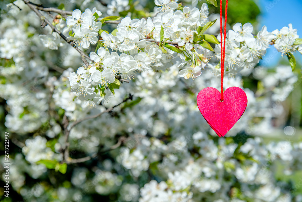 Red heart among the branches of the cherry Red heart among the branches of the cherry
