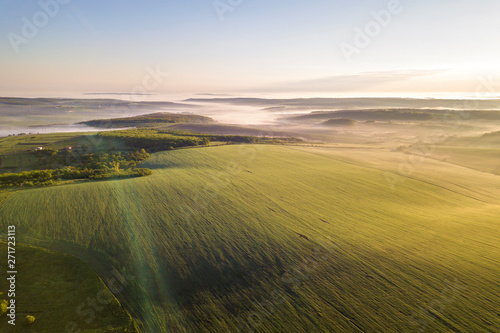 Top view of green cultivated hills and green trees in foggy valley. Spring misty landscape panorama at dawn.