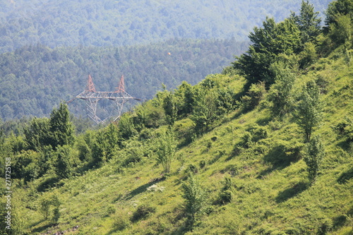 High-voltage lines in the nature landscape with forest background