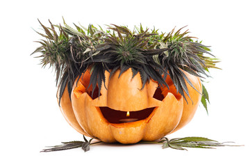 halloween pumpkin jack lamp and hemp, cannabis and marijuana leaves