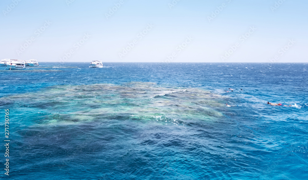 Obraz premium White Island Africa Egypt Snorkeling Boat Trip water background.