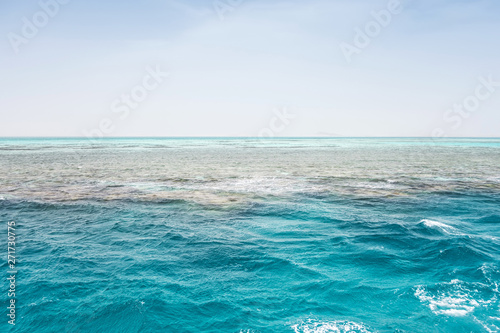 Africa Egypt White Island Ras Mohamed Red Sea, Sinai Peninsula.