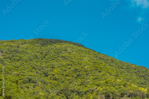 mountains in a sunny days