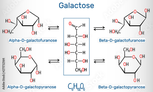 Tautomeric forms of D-galactose, milk sugar. Alpha-D- galactofuranose, beta-D- galactofuranose, alpha-D- galactopyranose, beta-D- galactopyranose. Structural chemical formula