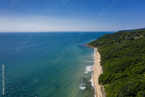 Aerial view to beautiful beach and forest