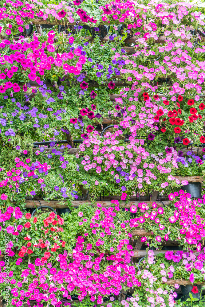 Naklejka premium Beautiful flowers background