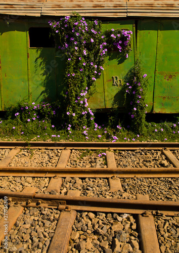 Old Train In Asmara Train Station, Eritrea photo