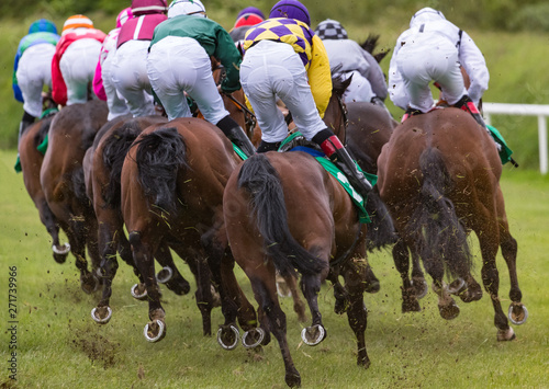 Jockeys and horses racing down the track, view from behind