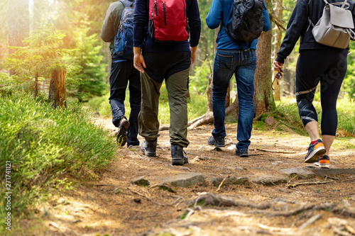 nature adventures - group of friends walking in forest with backpacks photo