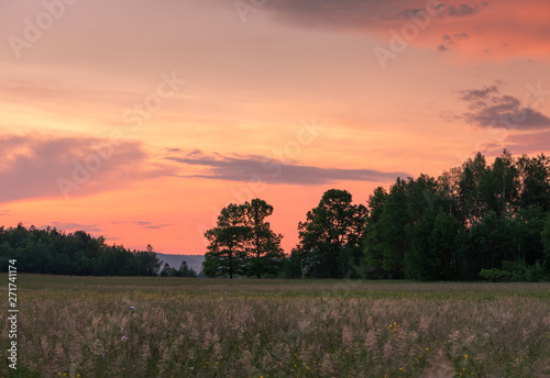 Summer grass field with amazing sunset colors