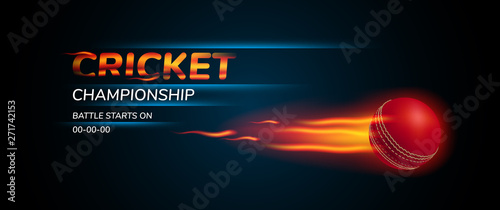 Vector illustration for cricket tournament. Ball for playing and template text